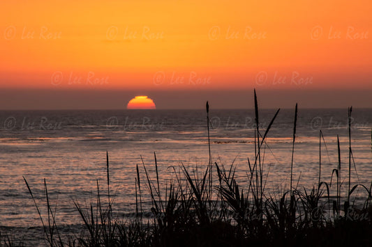 Moonstone Beach Sunset Lee Rose Photography