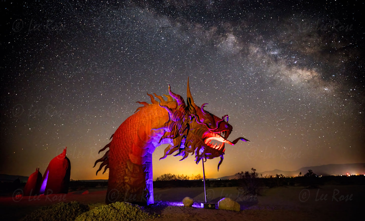 Serpent Borrego Springs