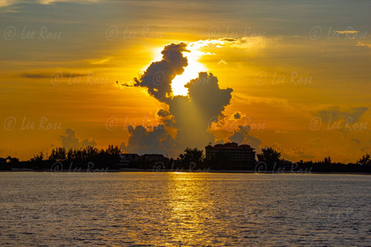 Sun Beam Cayman Islands Lee Rose Photography