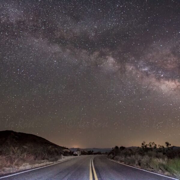 Empty Road - Joshua Tree