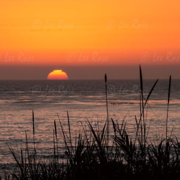 Moonstone Beach Sunset
