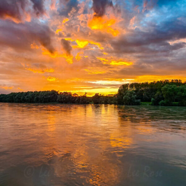 Rhein River Sunset