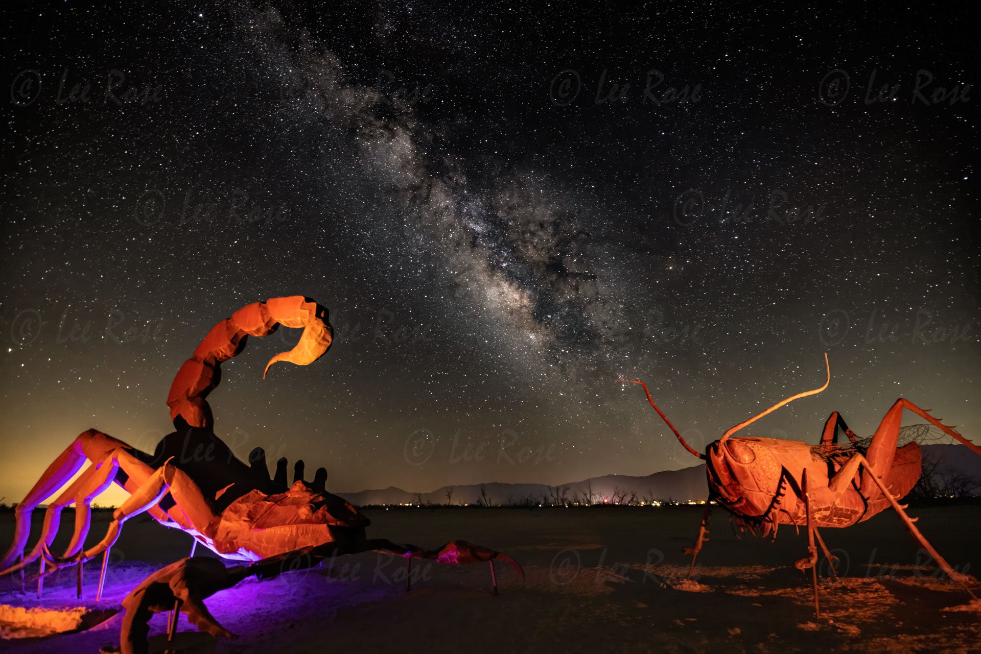 Scorpion-Grasshopper Borrego Springs