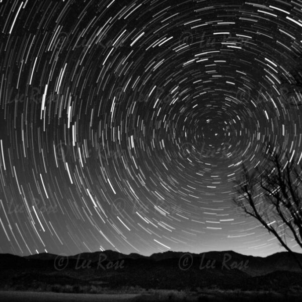 Star Trails - Lower Rose Lake