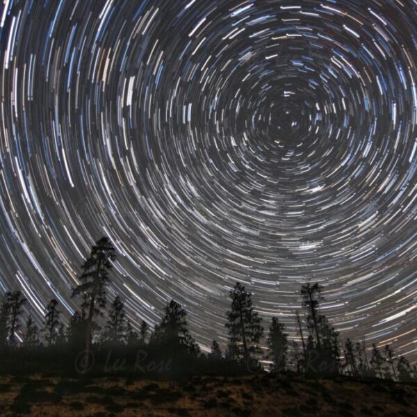 Star Trails - Bryce Canyon