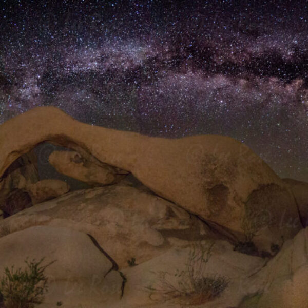 Arch Rock - Joshua Tree