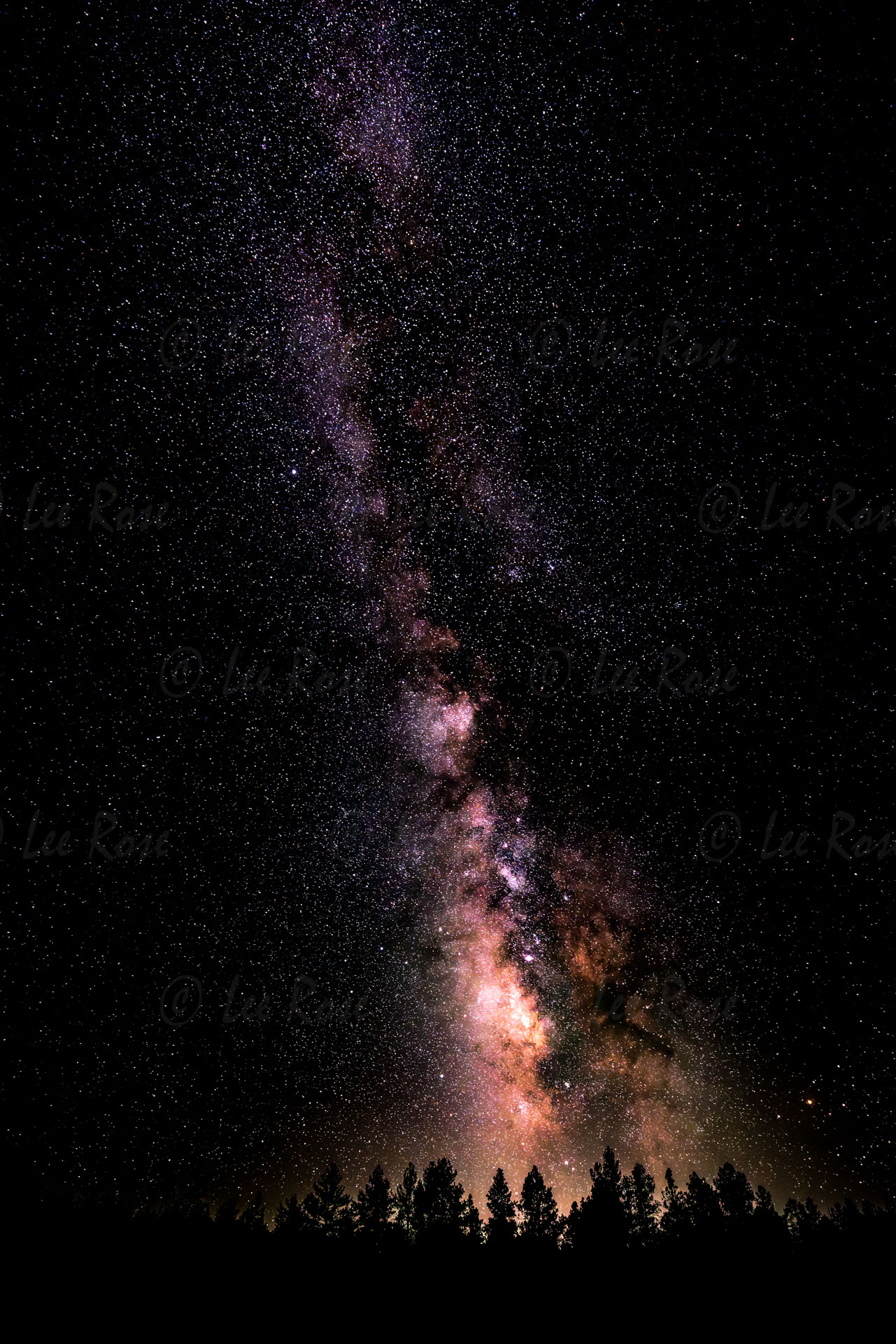 "Blackness" - Upper Lake Mary, Arizona